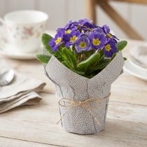 Artikel Planteringslåda Papper Prickig Presentförpackning Blommor Ø7cm H14cm 12 st