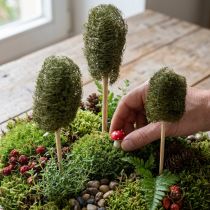 Artikel Luffa liten gurka på pinne mörkgrön 5-7 cm 25 st