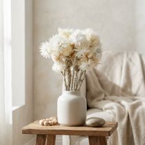 Artikel Torkade blommor, hattblommor, naturvita, halmblommor, torkad blombukett H33cm