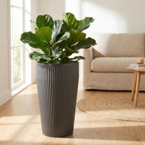 Artikel Golvvas plastplanter antracit Ø28cm H46,5cm