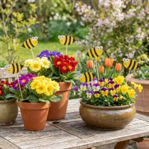 Artikel Vårdekoration blomplugg trä bi dekoration 7cm 12st