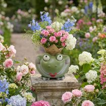Artikel Frog King Deco Vas Trädgårdsdekoration Groda Vas 21×17,5×23cm