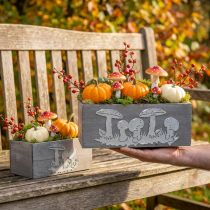 Artikel Trälåda set padda, höstdekorationer, trädgårdsdekorationer, växtlådor L40 / 30cm, uppsättning 2