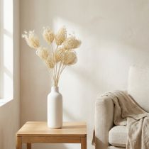 Artikel Torkade blommor blekta fänkålskrämer 45 cm knippe 10 st