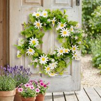 Artikel Daisy Krans Vit Grön Konstgjord Ø28cm H9cm