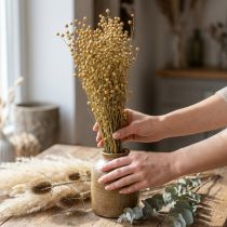Artikel Torkat lin, torkat florism, naturlin naturfärg L40–55cm 85g