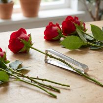 Artikel Rose dethorner klassisk silver dethorner för rosor 13cm
