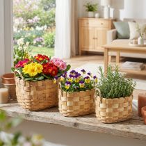 Artikel Växtkorg cachepot med handtag natur 22/27/33cm set om 3