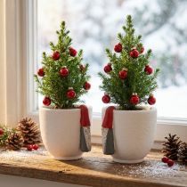 Artikel Julkruka med tomte, adventsdekoration, betongkruka vit, röd Ø8cm H12,5cm 2st