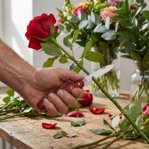 Artikel Floristkniv Victorinox