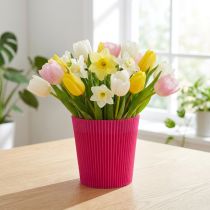 Artikel Plisserade muddar Cerise 12,5cm 100 st