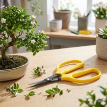 Artikel Oasis bonsai & pincer sax 15,5 cm