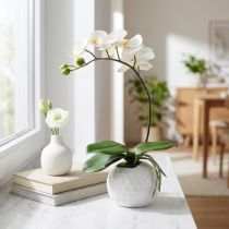 Artikel Phalaenopsis kräm i keramikkruka 33cm