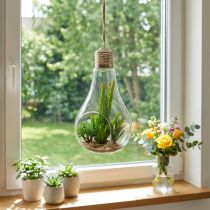 Artikel Kaktusar i glas för att hänga 21 cm