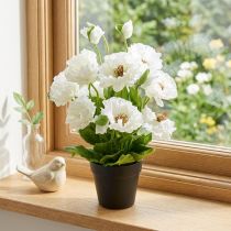 Artikel Vallmo i en blom- dekoration för blomkruka vit siden