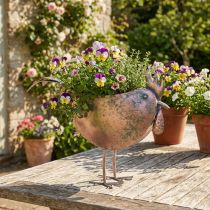 Artikel Blomkruka Kyckling Metall Fågel Metallic Rosé 51×16×37cm