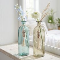 Artikel Flaskor dekorativ glasvas cowrieskal maritima H26cm 2st