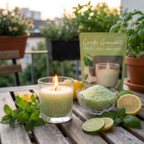 Artikel Vaxgranulat ljussandveke doft citrongräs 400g