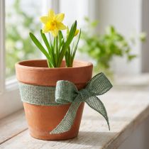 Artikel Juteband, nätband, dekorativt band, jute, grön salvia, 5 cm brett, 40 m långt