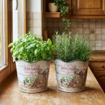 Artikel Örtkruka blomkruka plast Fresh Garden H13,5cm 2st