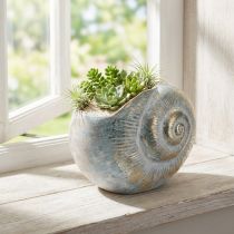 Artikel Dekorativ snigelformad behållare för maritim och naturlig väggdesign, grå, 21 cm