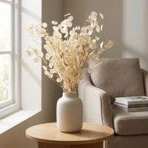 Artikel Lunaria Deco Moon Violet Silver Blad Torkat 90cm 100g