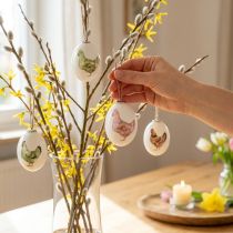 Artikel Påskägg plast med kycklinggrön brun 3,5-5,5cm 24 st