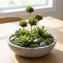 Artikel Suckulent plocka grön / brun 35,5 cm