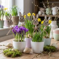 Artikel Blomplugg kanin med glasögon dekorativ plugg trä 4×7,5cm 12 st