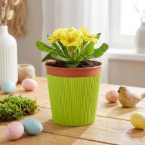 Artikel Veckade muddar till blomkrukor ljusgrön 14,5cm 100 st