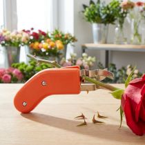 Artikel Rosentaggborttagare i rostfritt stål, taggfri, 80ES, orange, för blomsterhandlare