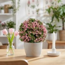 Artikel Dekorativ boll rosa grön kulväxt Ø15cm 1 st
