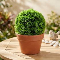 Artikel Gräsboll dekorativ boll gröna konstgjorda växter rund Ø18cm 1 st