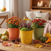 Artikel Dekorativ hink med frukt tvättad gul, orange, grön Ø15cm H14cm set om 3