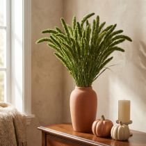 Artikel Torkade blommor, Setaria Pumila, borstgrönt hirs 75 cm 200 g