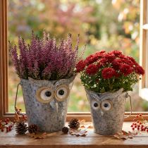 Artikel Dekorativ hink uggla zinkplanter med handtag Ø15/19cm set om 2