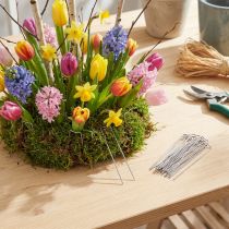 Artikel Patenterade 17/80 2,5 kg växtnålar för fixering i blomsterarrangemang