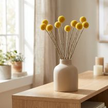 Artikel Craspedia torkade blommor, gula, 70 cm, dekorativa, 10 stycken