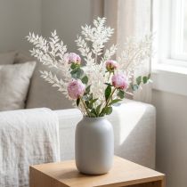Artikel Ruscusgrenar dekorativa grenar torkade blommor blekta 10 st