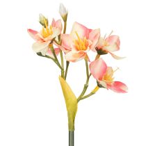 Artikel Dekorativ blommande gren peruansk lilja för tidlösa arrangemang, 33 cm, 6 stycken