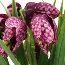 Artikel Schackbrädeblommor Fritillaria konstlila 29cm 6st