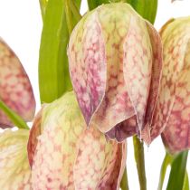 Artikel Konstgjord fritillaria, delikat dekoration för vardagsrum, 60 cm, 3 stycken