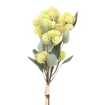 Fet Höna Grön Sedum Stengröda Konstgjorda Blommor 41cm 3st