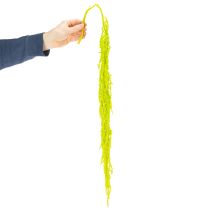 Artikel Torkade rävsvansblommor, färgade, för speciell heminredning och unika accenter, 100 cm, 5 stycken