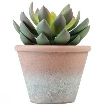 Artikel Suckulentväxt i kruka Echeveria konstgrön vintage Ø15cm H16cm