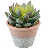 Artikel Suckulentväxt i kruka Echeveria konstgrön vintage Ø15cm H16cm