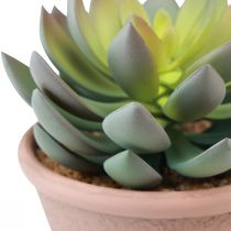 Artikel Suckulentväxt i kruka Echeveria konstgrön vintage Ø15cm H16cm