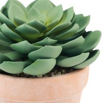 Artikel Suckulentväxt i kruka Echeveria konstgrön Ø15cm