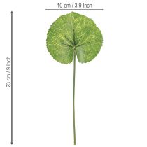 Artikel Galax Urceolata Blad Artificiell Grön Ø10cm L23cm 12 st