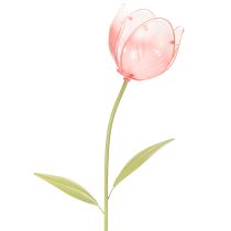 Artikel Trädgårdsstångsblomma dekorativ tulpan för rabatter och kanter 94 cm